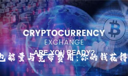 “TP钱包能量与宽带费用：你的钱花得值吗？”