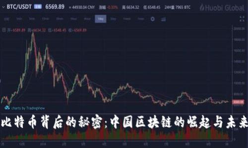 比特币背后的秘密：中国区块链的崛起与未来
