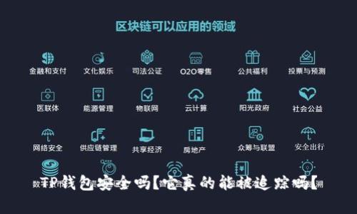 TP钱包安全吗？它真的能被追踪吗？
