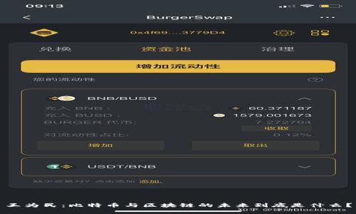 王为民：比特币与区块链的未来到底是什么？