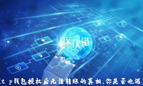 
揭秘！t p钱包授权后无法转账的真相，你是否也遇到过？