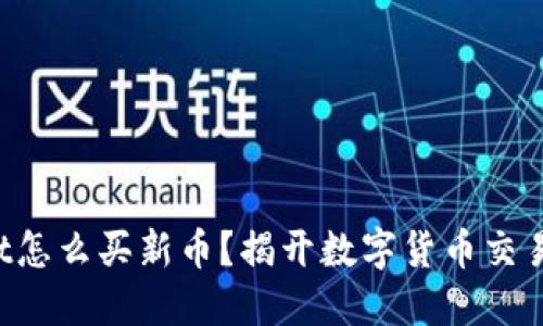 TokenPocket怎么买新币？揭开数字货币交易的神秘面纱