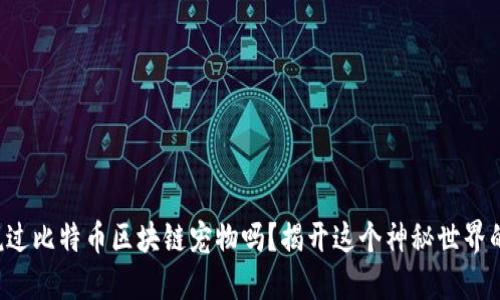 你听说过比特币区块链宠物吗?揭开这个神秘世界的面纱!