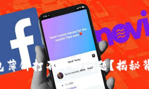 ### 如何解决TP钱包薄饼打不开的问题？揭秘背后的原因与解决方案！