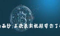 揭开区块链的面纱：王欣