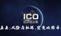 区块链的未来：风险与机