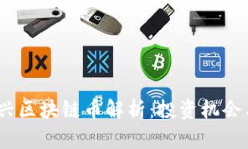 2023年新兴区块链币解析：投资机会与潜在风险