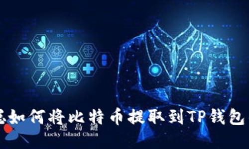 中本聪如何将比特币提取到TP钱包的教程