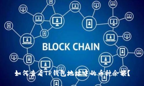 如何查看TP钱包地址中的币种余额？