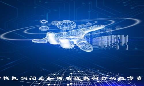 TP钱包倒闭后如何有效找回你的数字资产