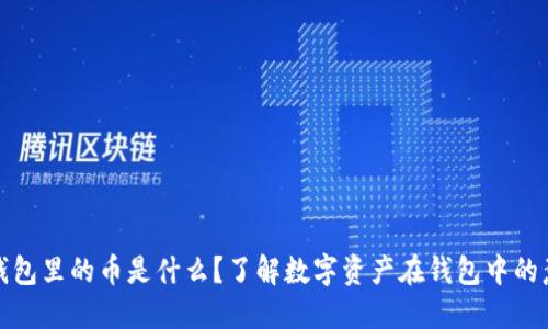 TP钱包里的币是什么？了解数字资产在钱包中的意义