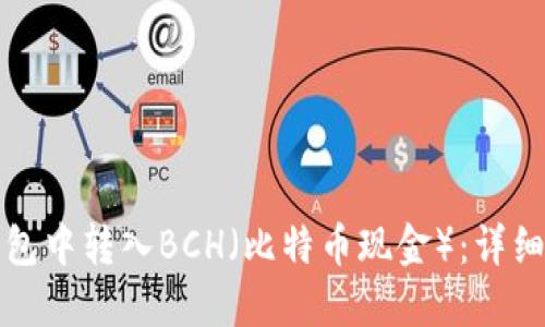 如何在TP钱包中转入BCH(比特币现金):详细步骤与技巧