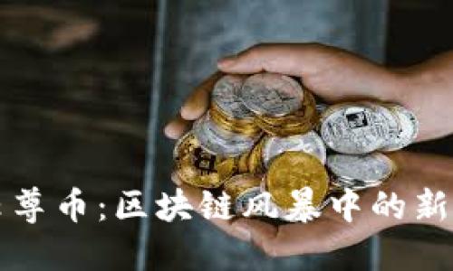 深入探讨云尊币：区块链风暴中的新机遇与挑战