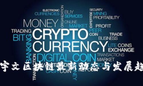 张宇文区块链最新动态与发展趋势