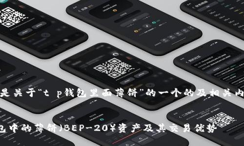 好的，以下是关于“t p钱包里面薄饼”的一个的及相关内容的框架。


了解TP钱包中的薄饼（BEP-20）资产及其交易优势