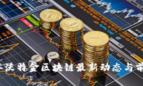 2023年沃特金区块链最新动态与前景分析