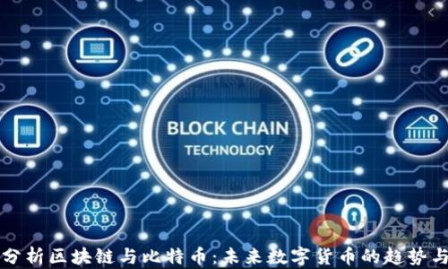 
深入分析区块链与比特币：未来数字货币的趋势与挑战