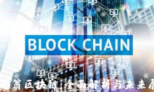 
币码翁区块链：全面解析与未来展望