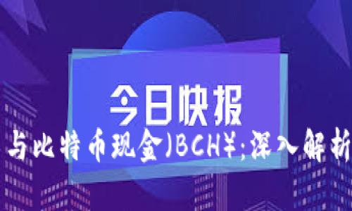 区块链技术与比特币现金（BCH）：深入解析及未来发展