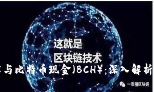 区块链技术与比特币现金（BCH）：深入解析及未来发展